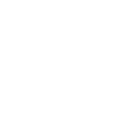 Avenzo©