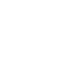 HSM®
