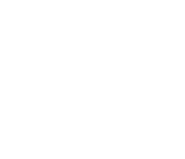 Kingston®